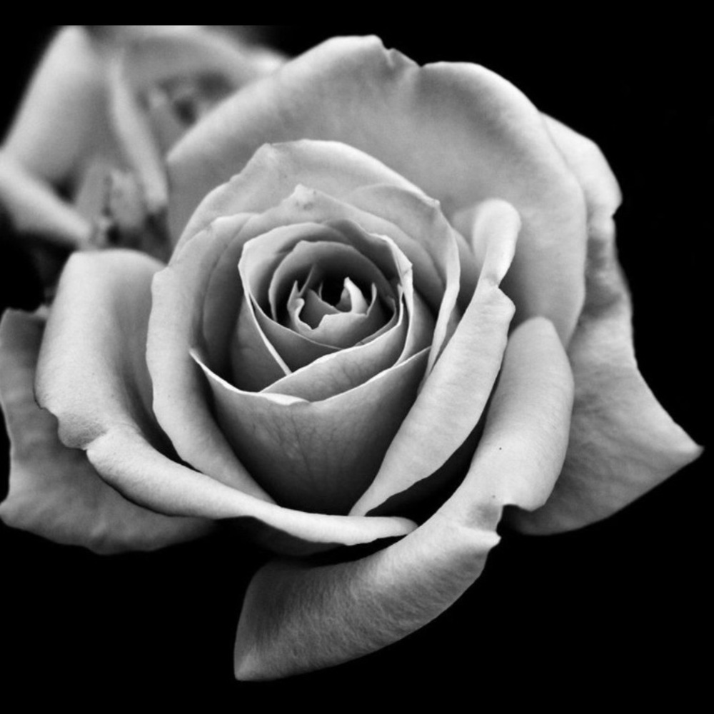 Meet your Posher, Juliana